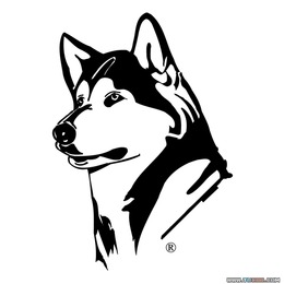 260x260 Husky Dog Png Images Vectors And Psd Files Free Download
