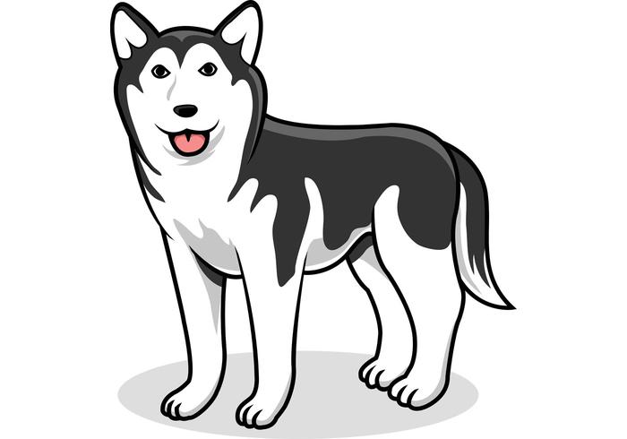 700x490 Siberian Husky Vector Dog