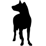 160x160 Hyena Silhouette Vector Graphics Stock Image And Royalty Free