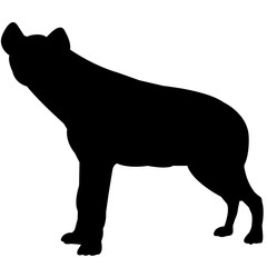 240x240 Search Photos Hyena