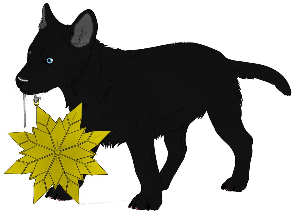 1034x772 Ebony And His Star By Pitthekidicarus