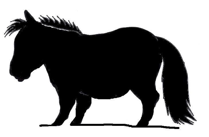 729x479 Minature Horse Clipart