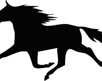 340x270 Pacing Horse Etsy