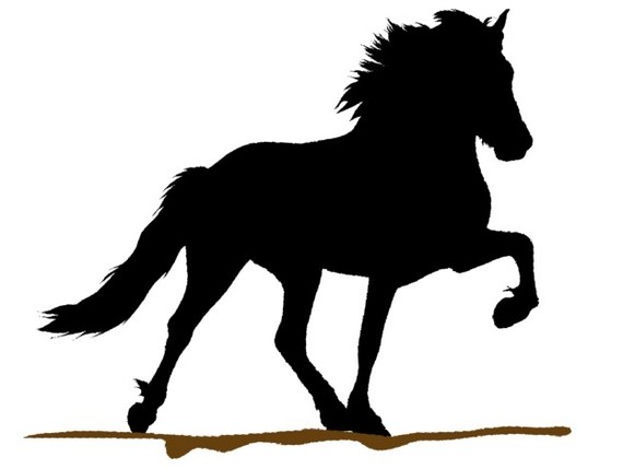570x429 Pin By Ant On Tattoo Icelandic Horse, Clipart