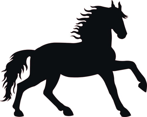 480x383 Flowerlantern Rack Icelandic Horse