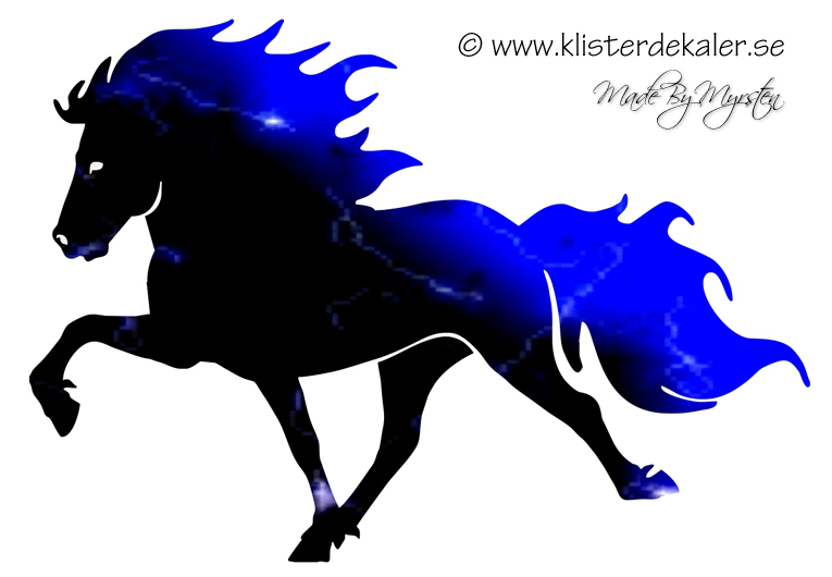 765x530 Single Icelandic Horse Midnight