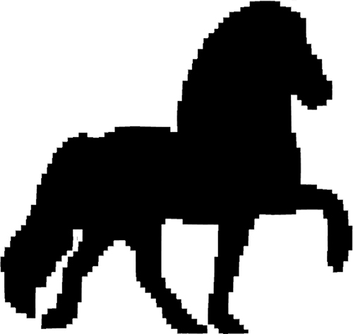 500x473 Tolt Away Icelandic Horse Farm