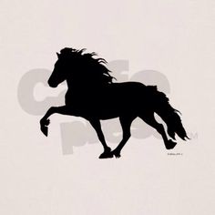 236x236 Wall Sticker Icelandic Horse The Different Gaits Of The Icelandic