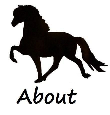 441x459 Icehorse Ranch