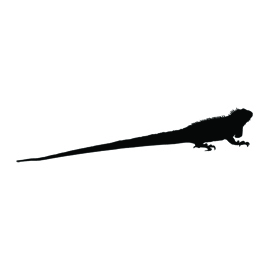 270x270 Iguana Silhouette Stencil Free Stencil Gallery