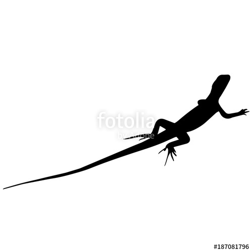 500x500 Iguana Silhouette Vector Graphics Stock Image And Royalty Free