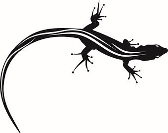 340x270 Iguana Clipart Newt