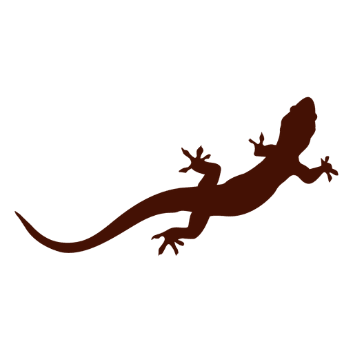 512x512 Iguana Pet Silhouette