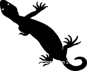 350x287 Search Results For Lizard