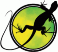 190x169 Iguana Clip Art Download 18 Clip Arts