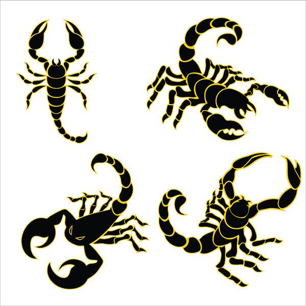 600x600 Scorpion Cuttable Designs Cut File. Vector, Clipart, Digital