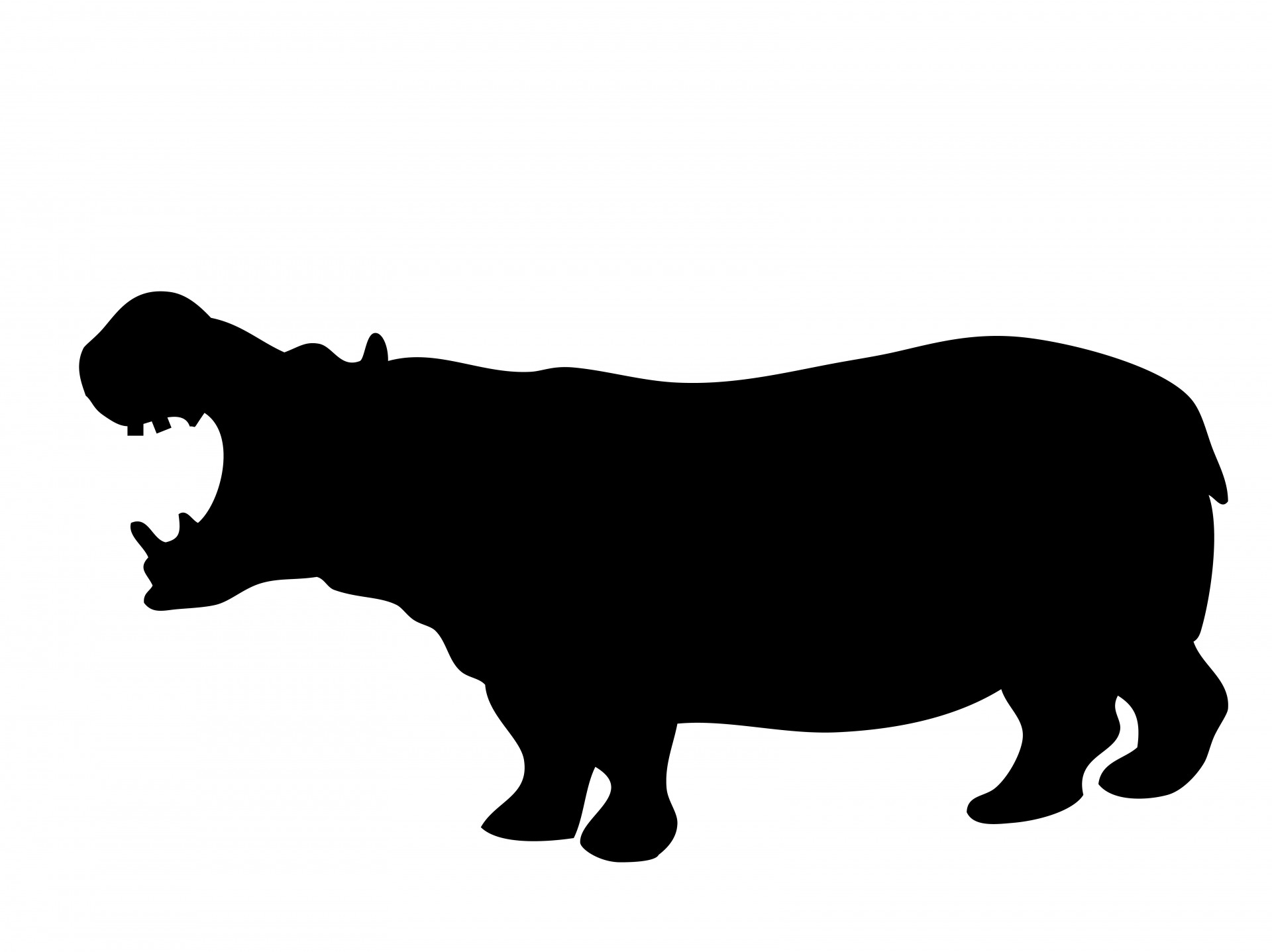 1920x1437 Hippo In Silhouette Free Stock Photo