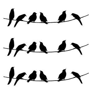 300x300 Tropical Black Fused Glass Decals 5x7 Card 14cc378