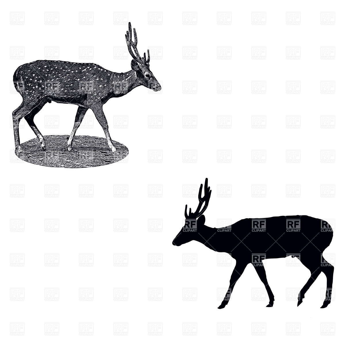 1200x1200 Silhouette Of Standing Deer And Imitation Of Ink Drawing Royalty