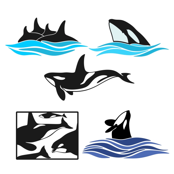 600x600 Orcas Pack Cuttable Design Cut File. Vector, Clipart, Digital