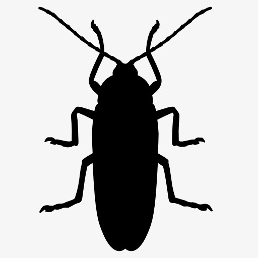 512x512 Cockroach Silhouette, Insect, Animal, Projection Png Image