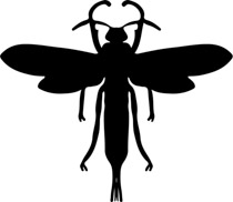 210x182 Free Silhouettes Clipart