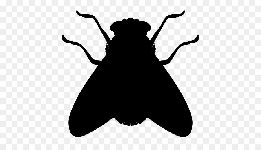 900x520 Insect Fly Icon