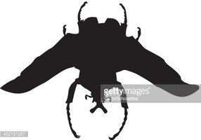 286x200 Insect Silhouette Stock Vectors