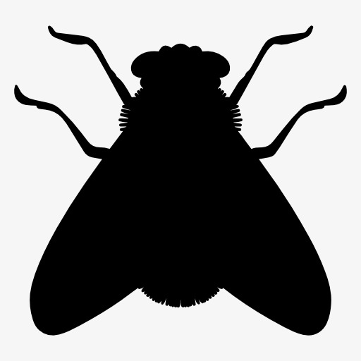 512x512 Silhouette Flies, Insect, Animal, Projection Png Image And Clipart