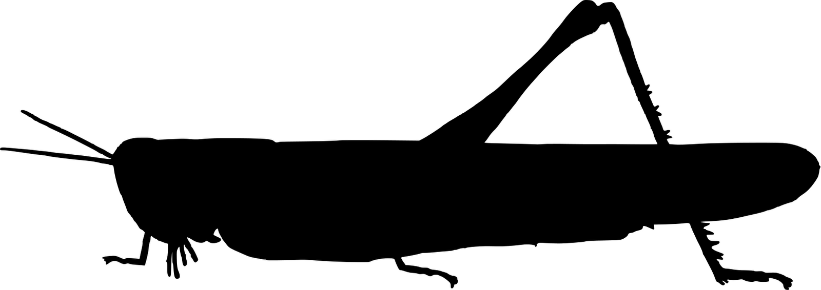 1600x566 Telecanter's Receding Rules Silhouettes Xliv