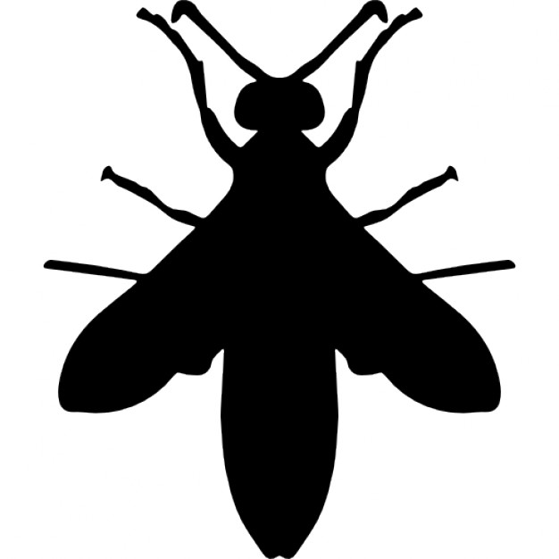 626x626 Wasp Silhouette Icons Free Download