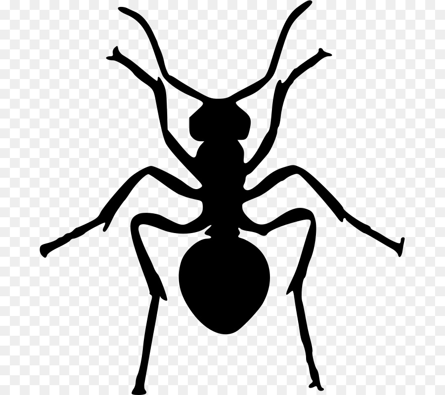 900x800 Ant Insect Silhouette Clip Art