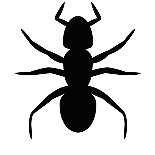 500x500 Ant Vector Silhouette Public Domain Vectors