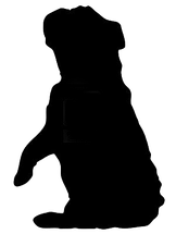 162x215 Olde Glory Bulldogges Olde English Bulldogge Puppies