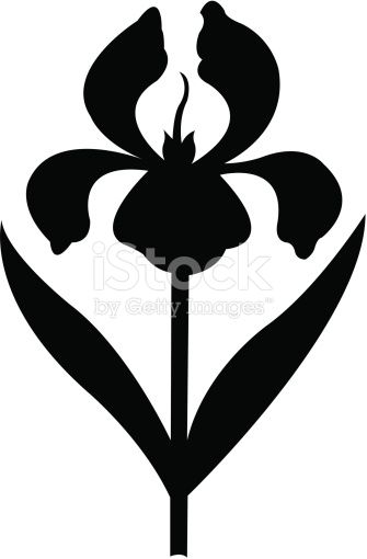 335x510 Flower Silhouette. Graphic Illustration Of An Iris. Use As
