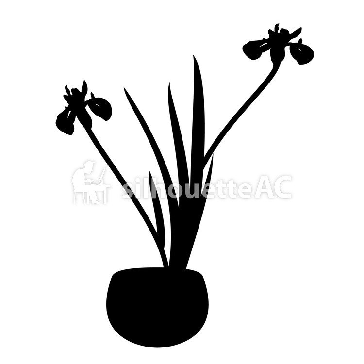 750x750 Free Silhouettes Ayame, Crumpled, Icon