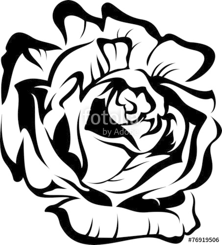 453x500 Iris Flower Silhouette. Vector Tattoo Illustration Stock Image