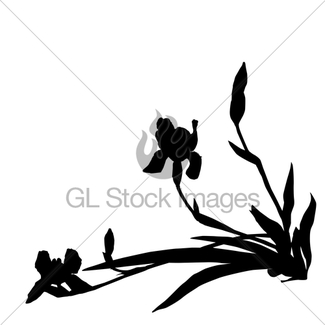 325x325 Rose Silhouette Gl Stock Images