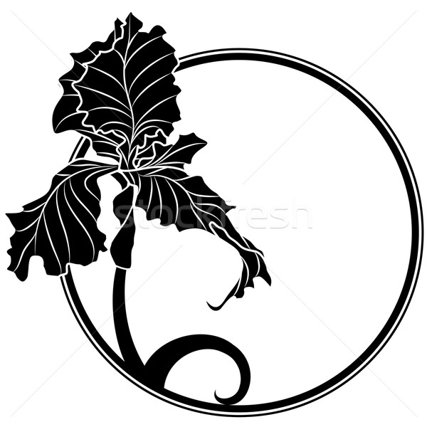 600x600 Iris Stock Vectors, Illustrations And Cliparts Stockfresh