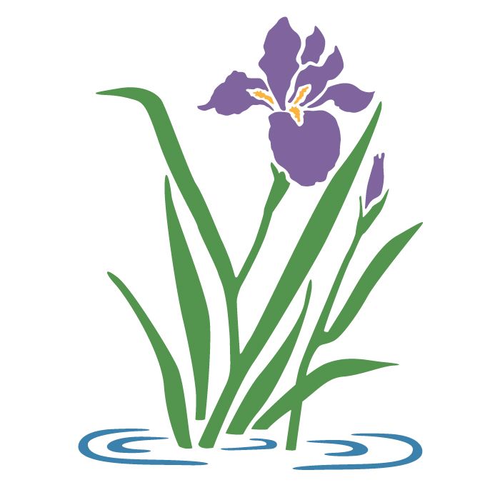 700x700 Iris Svg, Botanical Svg, Rose Svg, Pansy, Herbs, Garden, Home