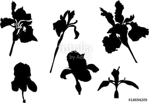 500x345 Iris Silhouette Collection