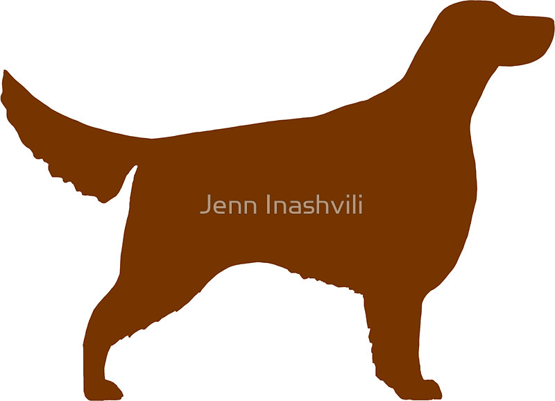 800x578 Irish Setter Silhouette(S) Stickers By Jenn Inashvili Redbubble