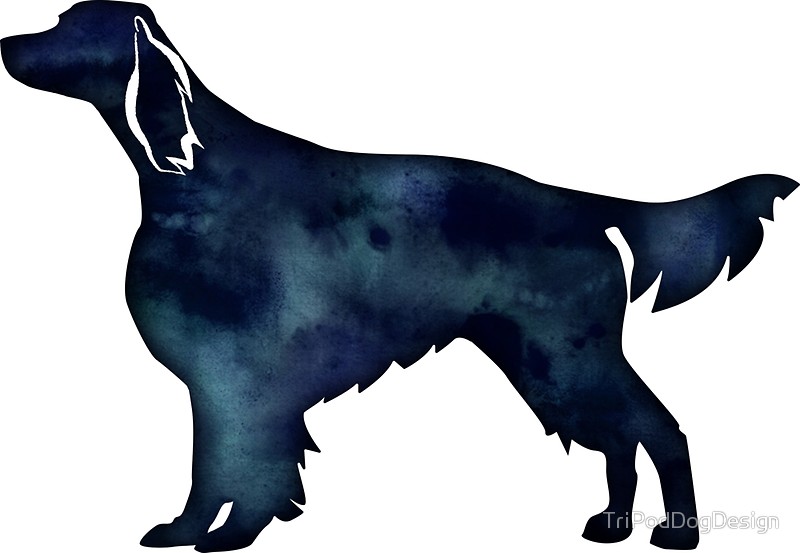 800x553 Irish Red And White Setter Dog Breed Black Watercolor Silhouette