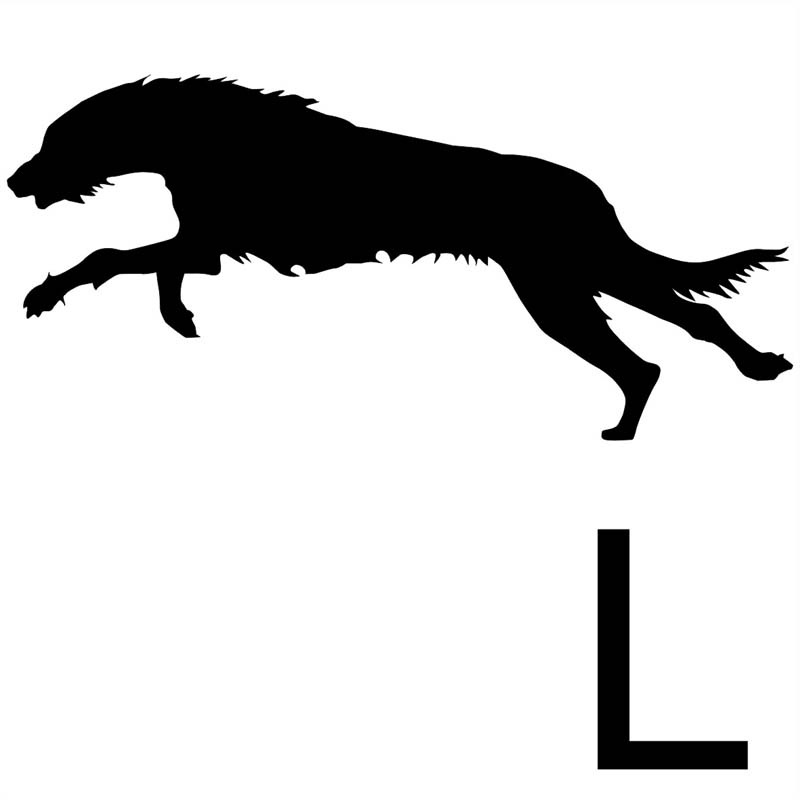 800x800 Sofa Dog Wear