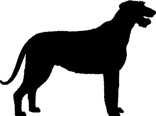 630x467 Check Out This Awesome