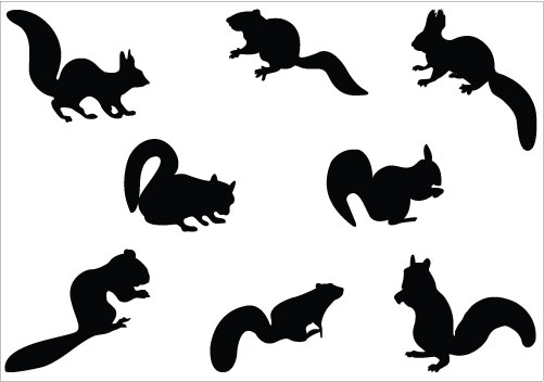 501x352 Squirrel Clipart Black And White