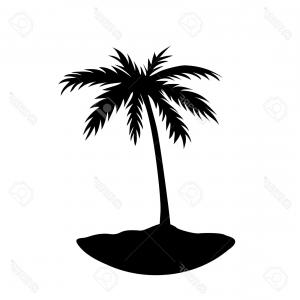 300x300 Seamless Pattern Palm Trees Gm Lazttweet