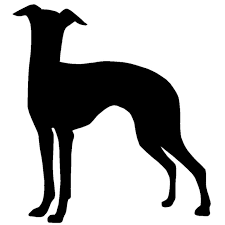 225x225 Image Result For Greyhound Silhouette Mandys Pins