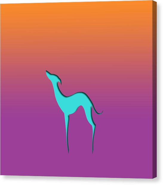 546x622 Italian Greyhound Canvas Prints