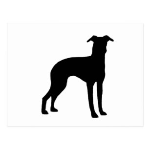 307x307 Italian Greyhound Silhouette Cards Amp Invitations Zazzle.co.uk
